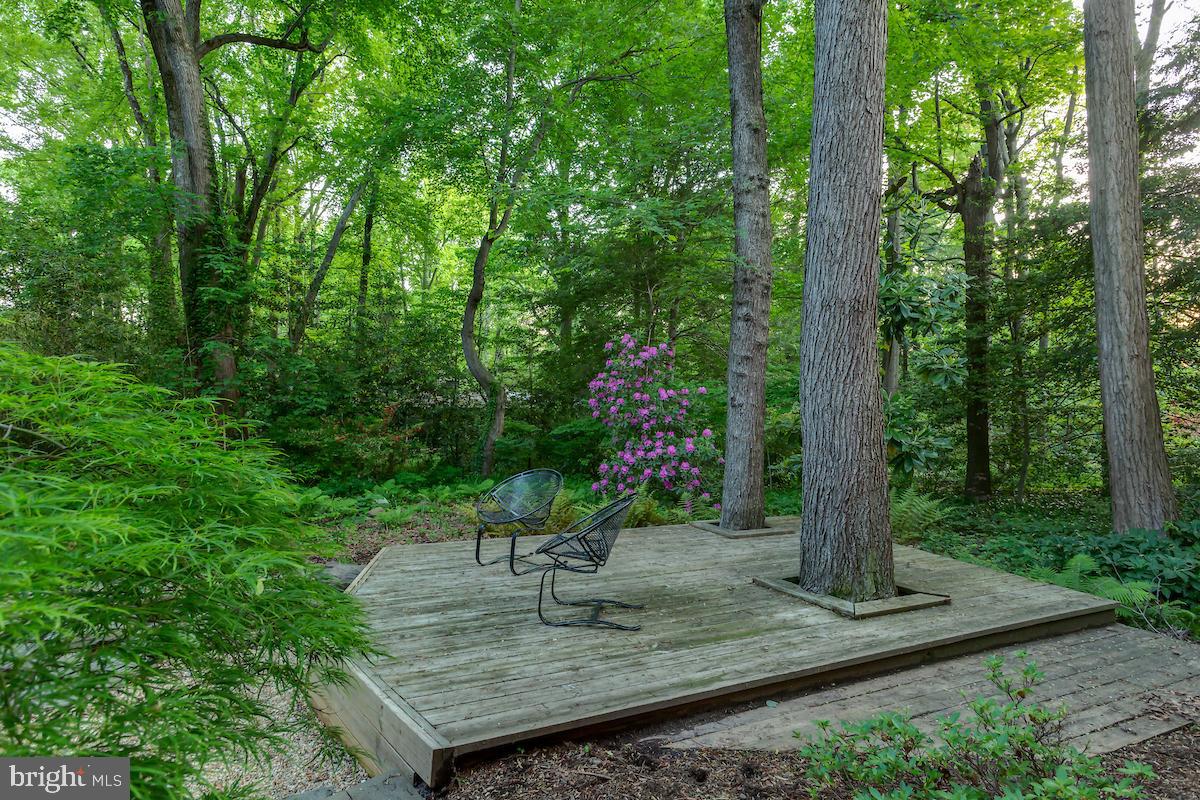 7418 Range Road Alexandria, VA 22306 - Photo 44 of 50 Gallery Image 44