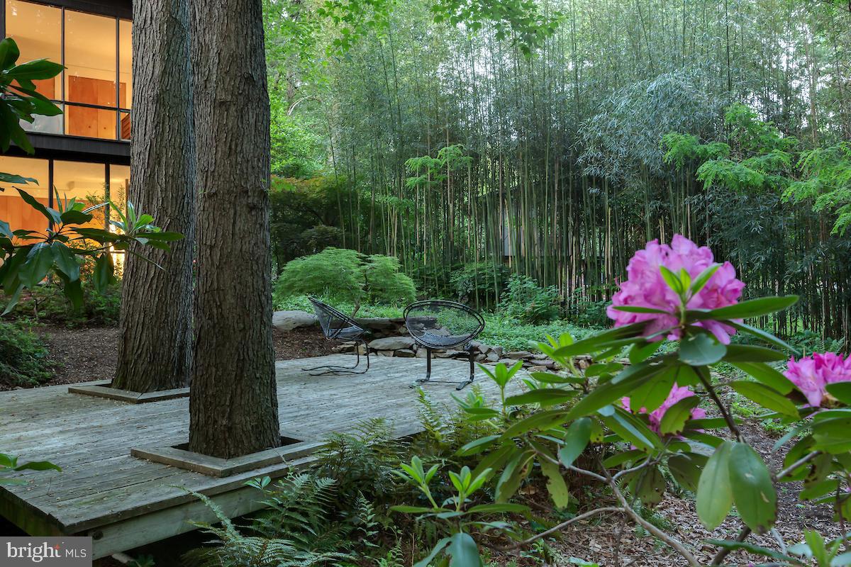 7418 Range Road Alexandria, VA 22306 - Photo 45 of 50 Gallery Image 45