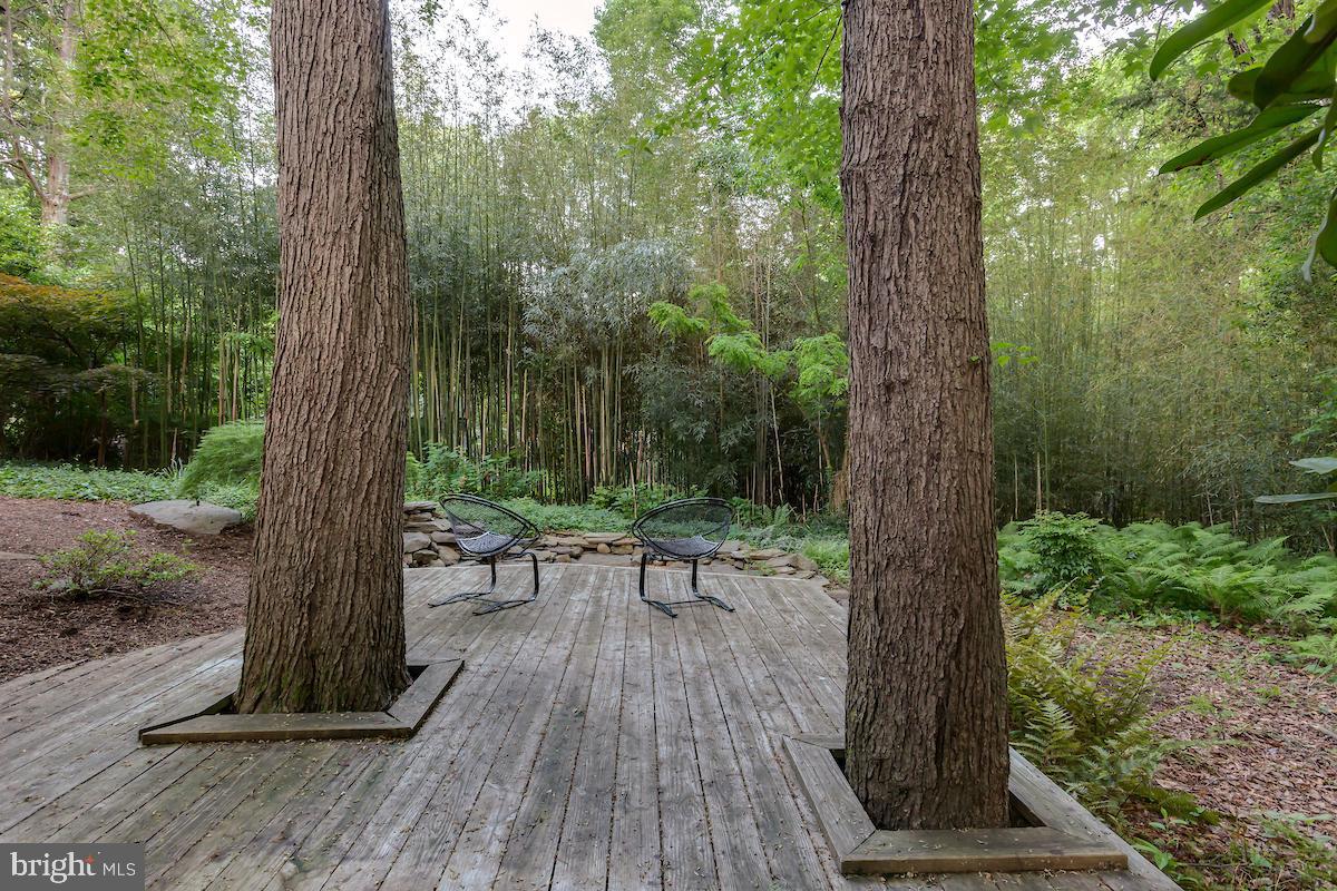 7418 Range Road Alexandria, VA 22306 - Photo 47 of 50 Gallery Image 47