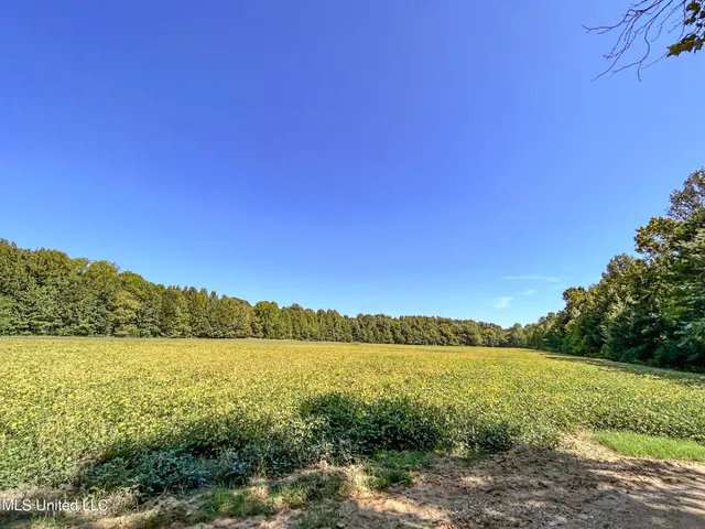 $499,000 | House-carlson House-Carlson Drive, Batesville, MS 38606