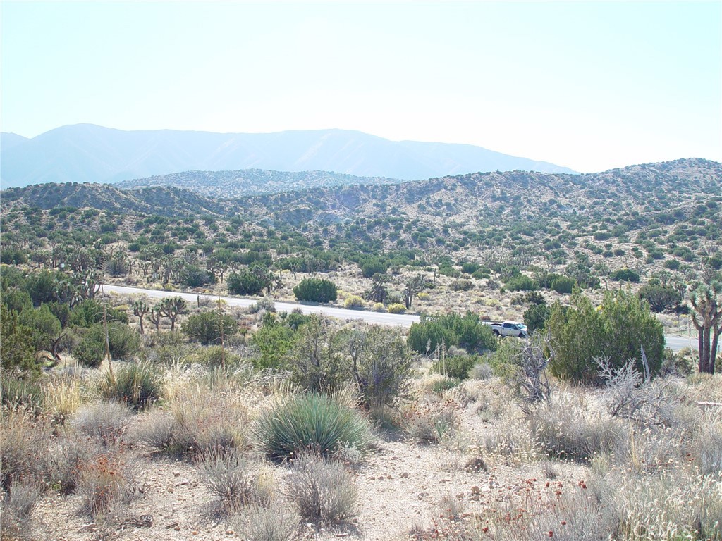 31550 Longview Road Pearblossom, CA 93553 - Photo 2 of 7 a view of a city with mountains in the background