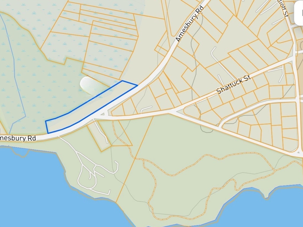 90 Amesbury Road Haverhill, MA 01830 - Photo 5 of 16 a close up of a wall with a white wall and a potted plant