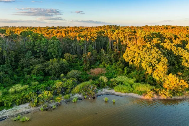 $9,995,000 | 3411 County Road 3411, Chandler, TX 75758