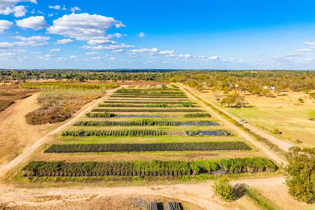 $9,995,000 | 3411 County Road 3411, Chandler, TX 75758