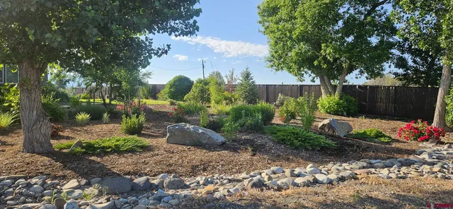 a view of a garden with potted plants and large trees