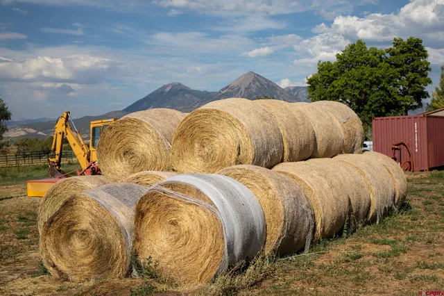 a blue and white bed sitting in a bedroom next to a yard