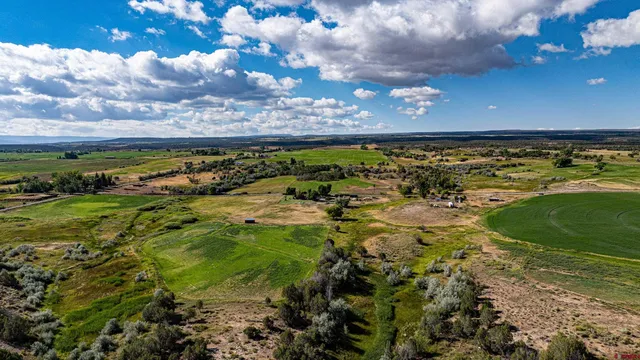 a view of a lush green hillside and houses