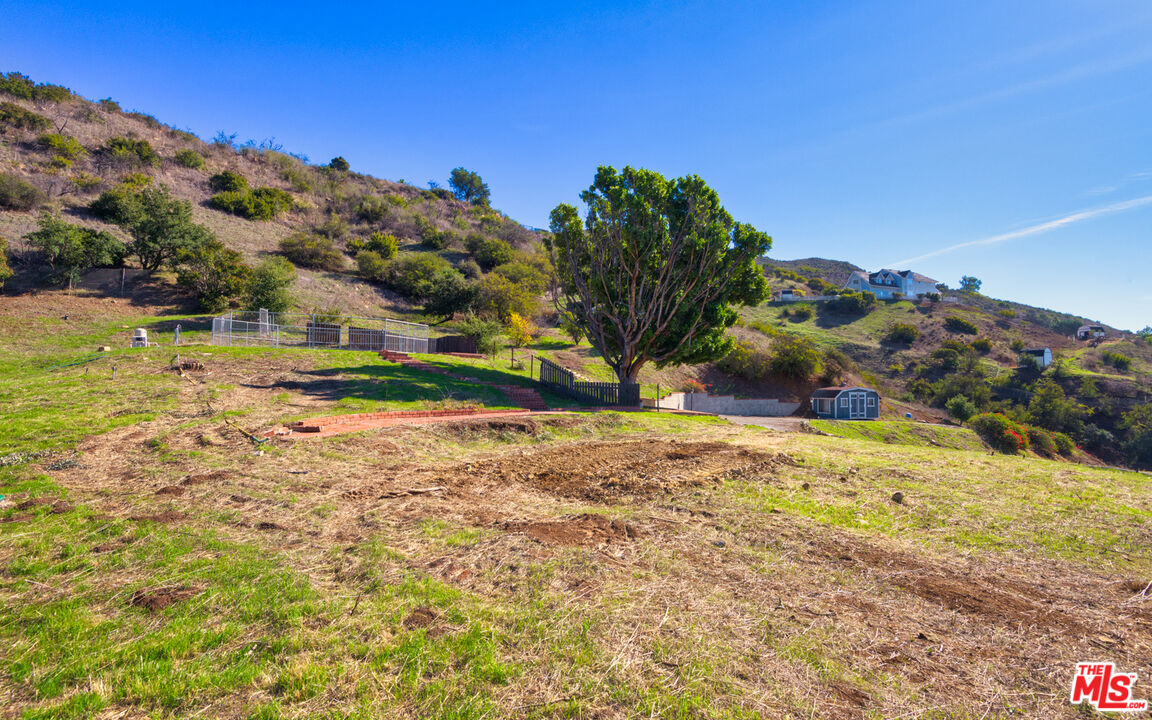 3450 Decker Road Malibu, CA 90265 - Photo 18 of 21 a view of a yard with an trees