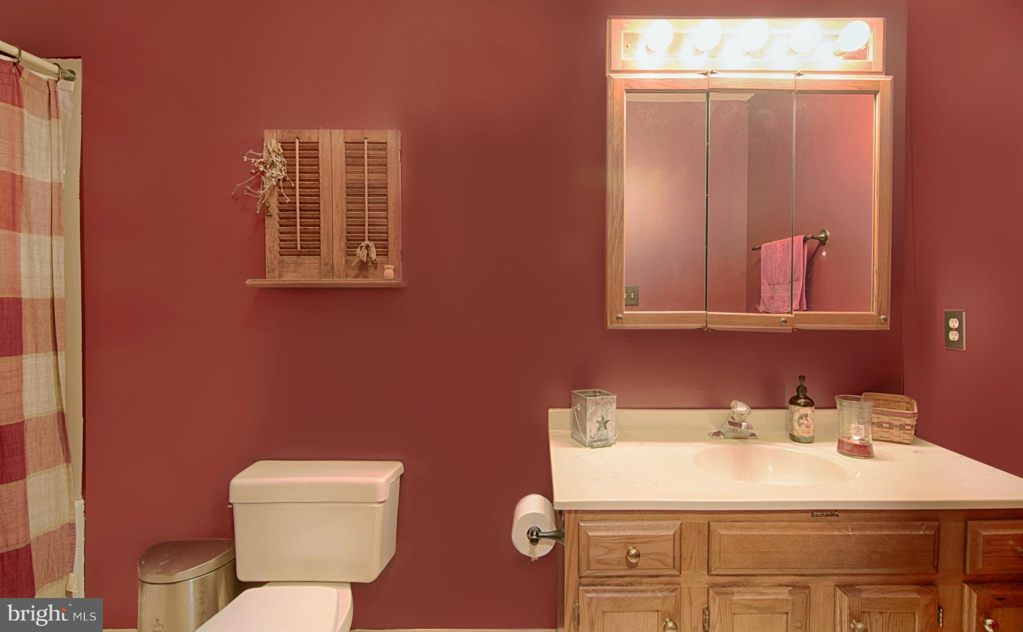 170 Center Street Cecilton, MD 21913 - Photo 12 of 21 Bath (Master)