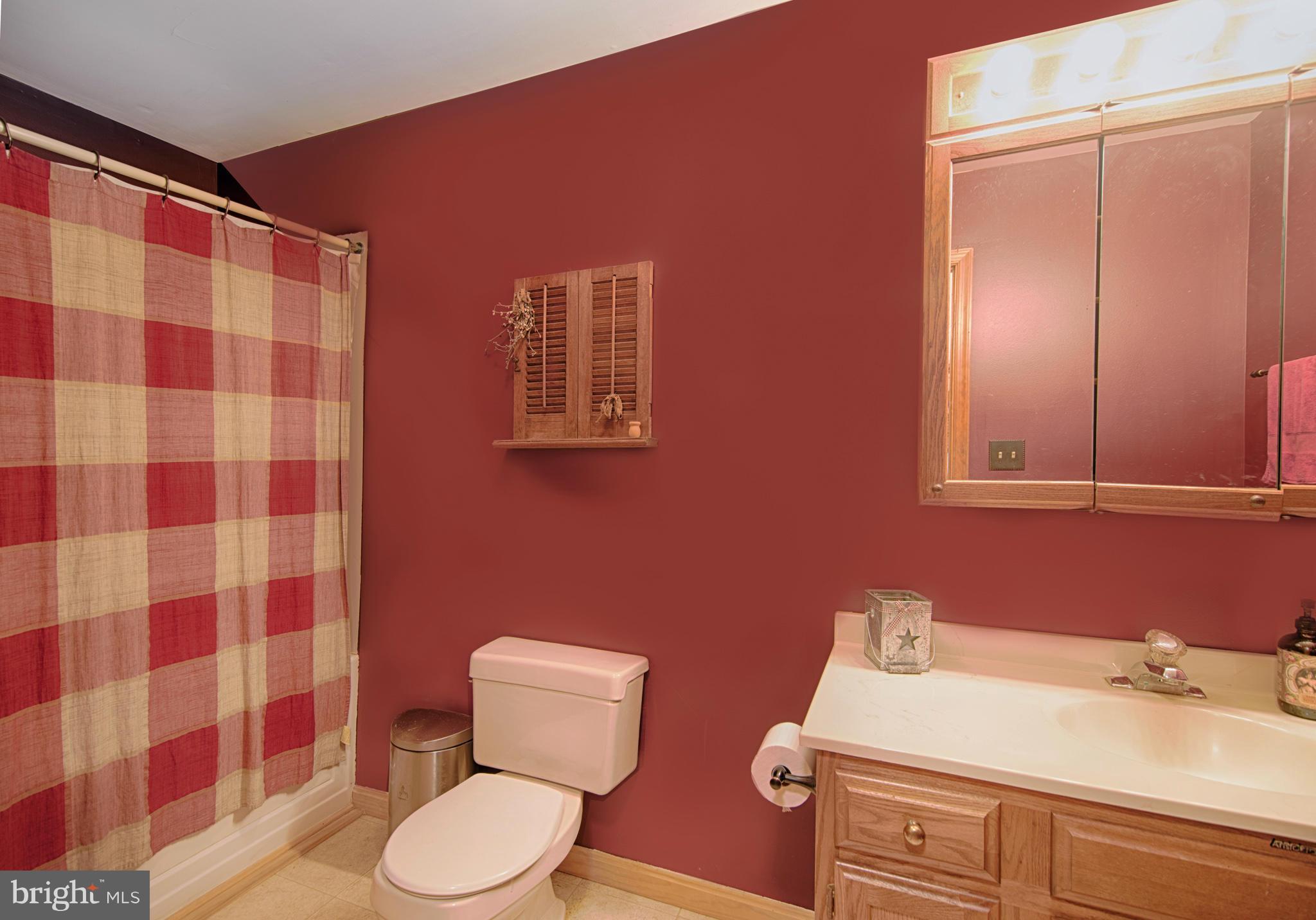 170 Center Street Cecilton, MD 21913 - Photo 13 of 21 Bath