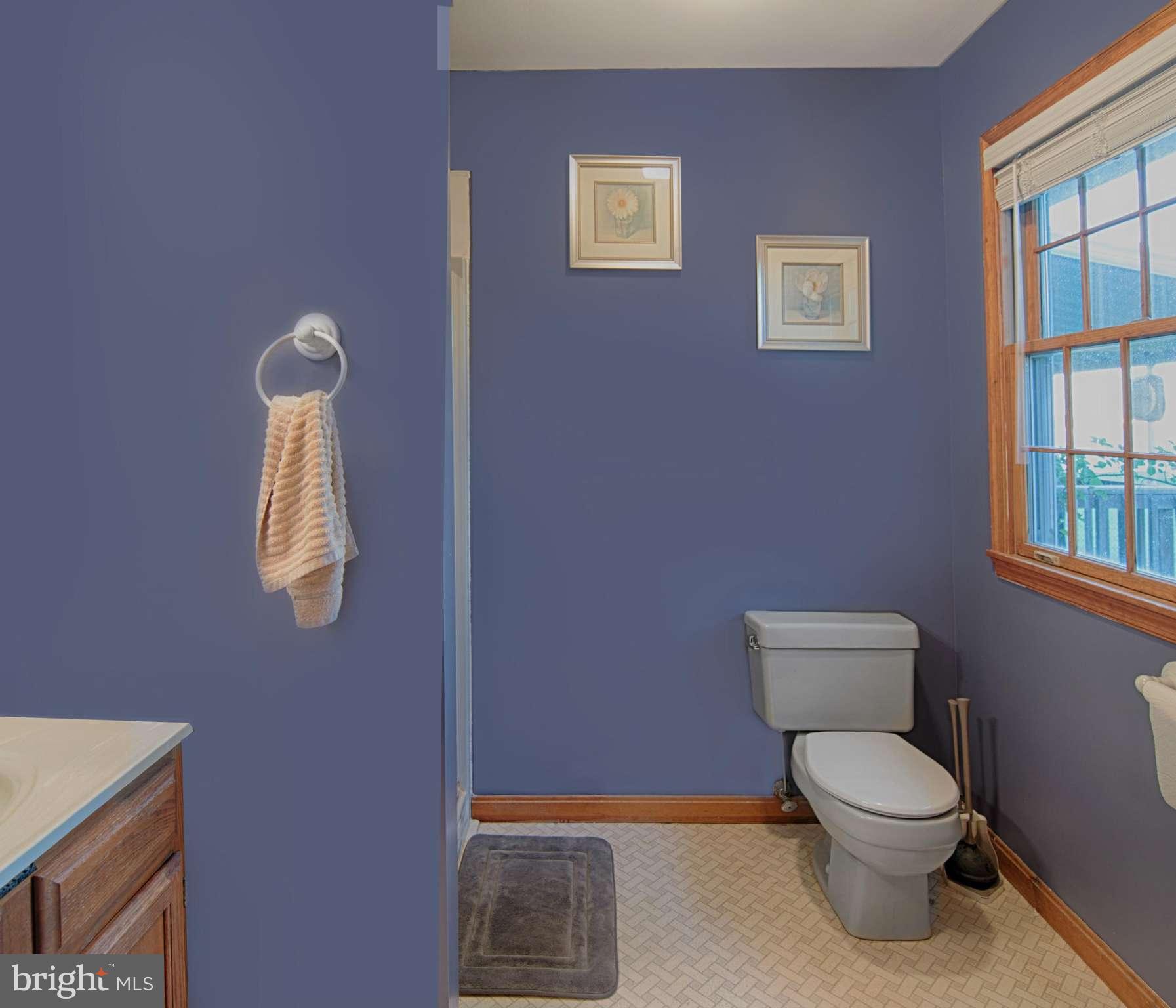 170 Center Street Cecilton, MD 21913 - Photo 17 of 21 Bath (Master)