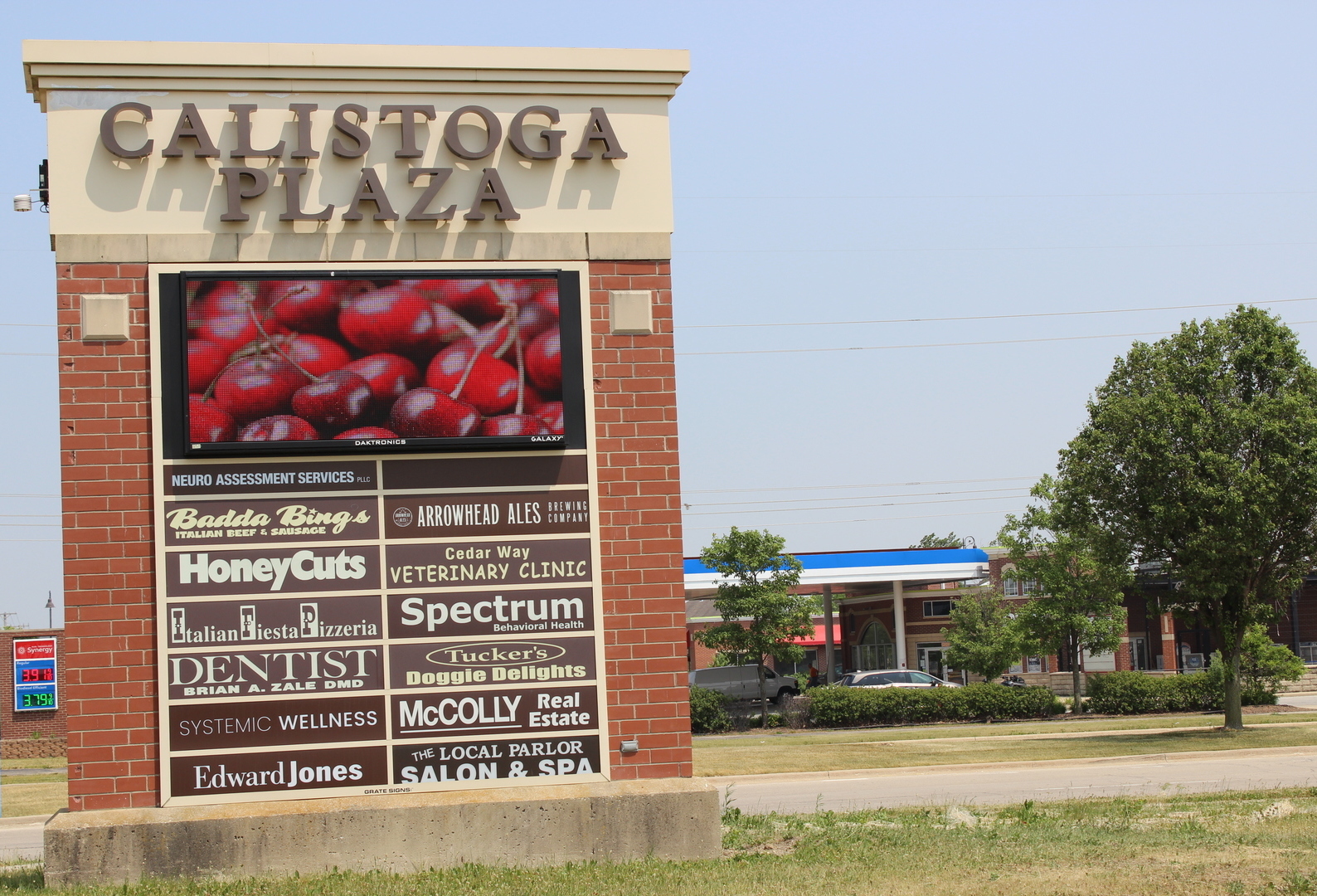 550 East Laraway Road New Lenox, IL 60451 - Photo 6 of 7