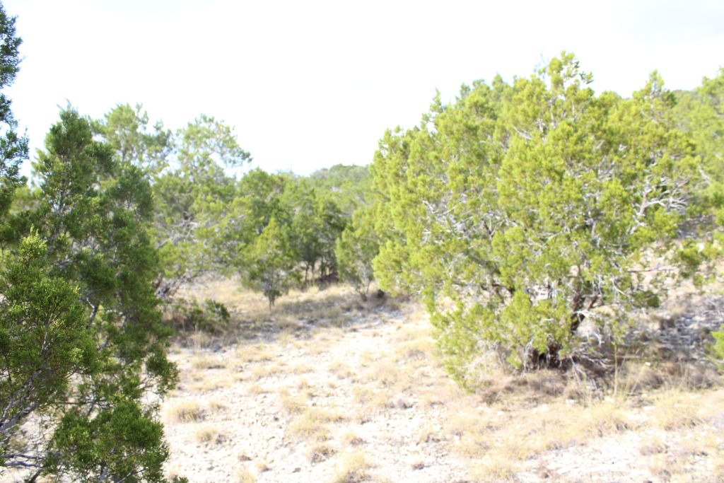 28808 Rim Rock Road Marble Falls, TX 78654 - Photo 4 of 15 Lower yard of the Lots