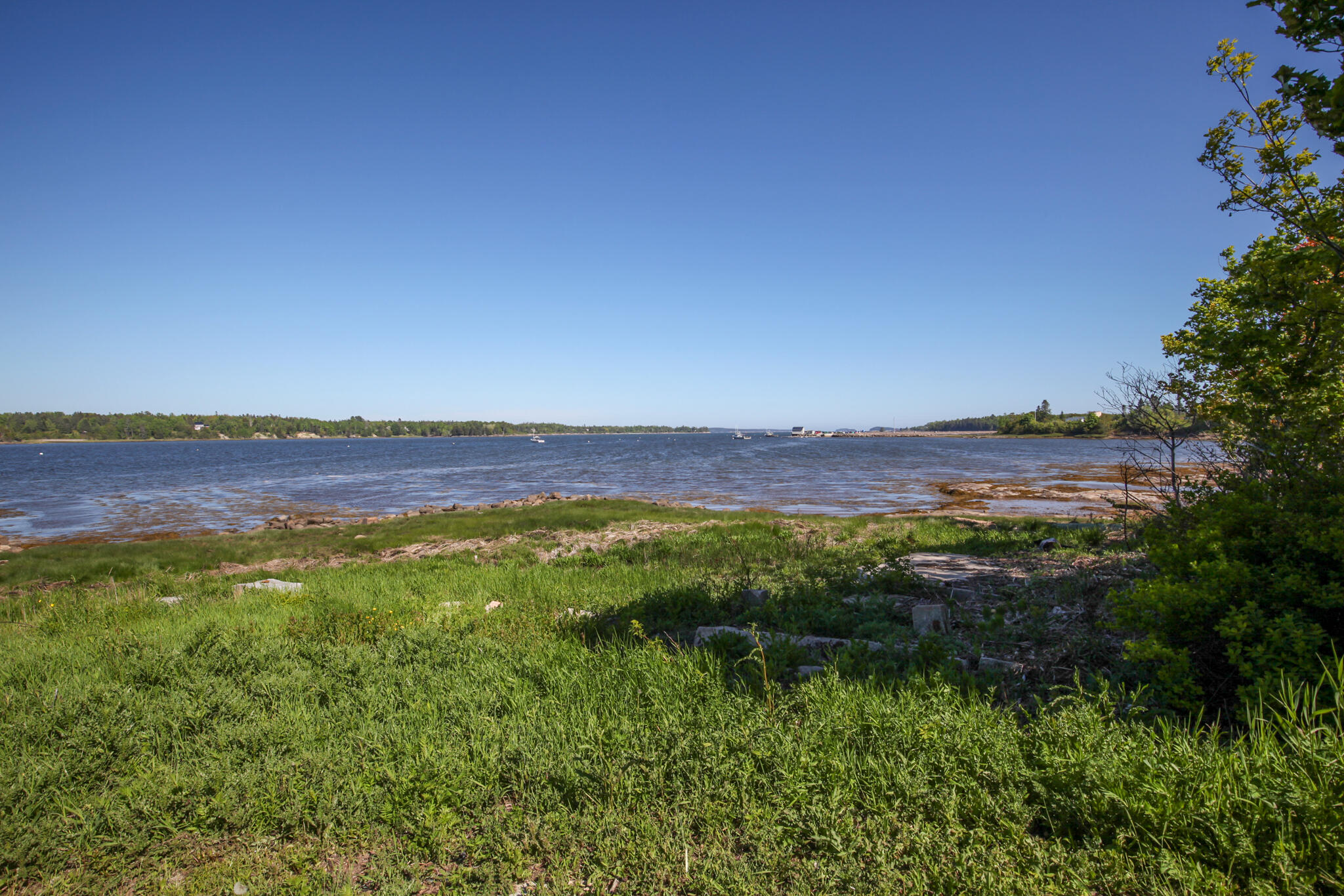 17 Water Street Milbridge, ME 04658 - Photo 26 of 64 IMG_0154