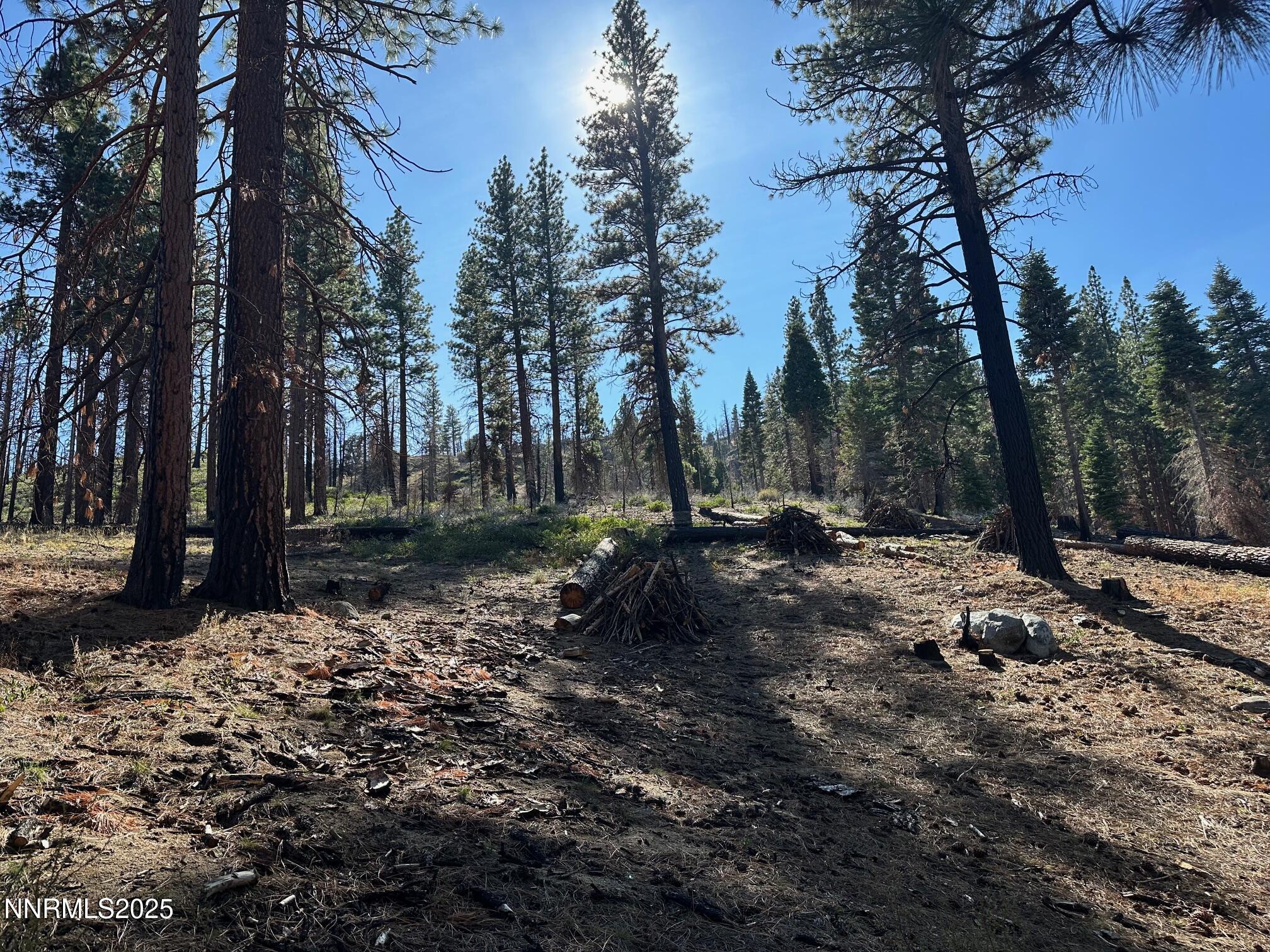 201 Shay Creek Road Markleeville, CA 96120 - Photo 11 of 35 a view of outdoor space with trees