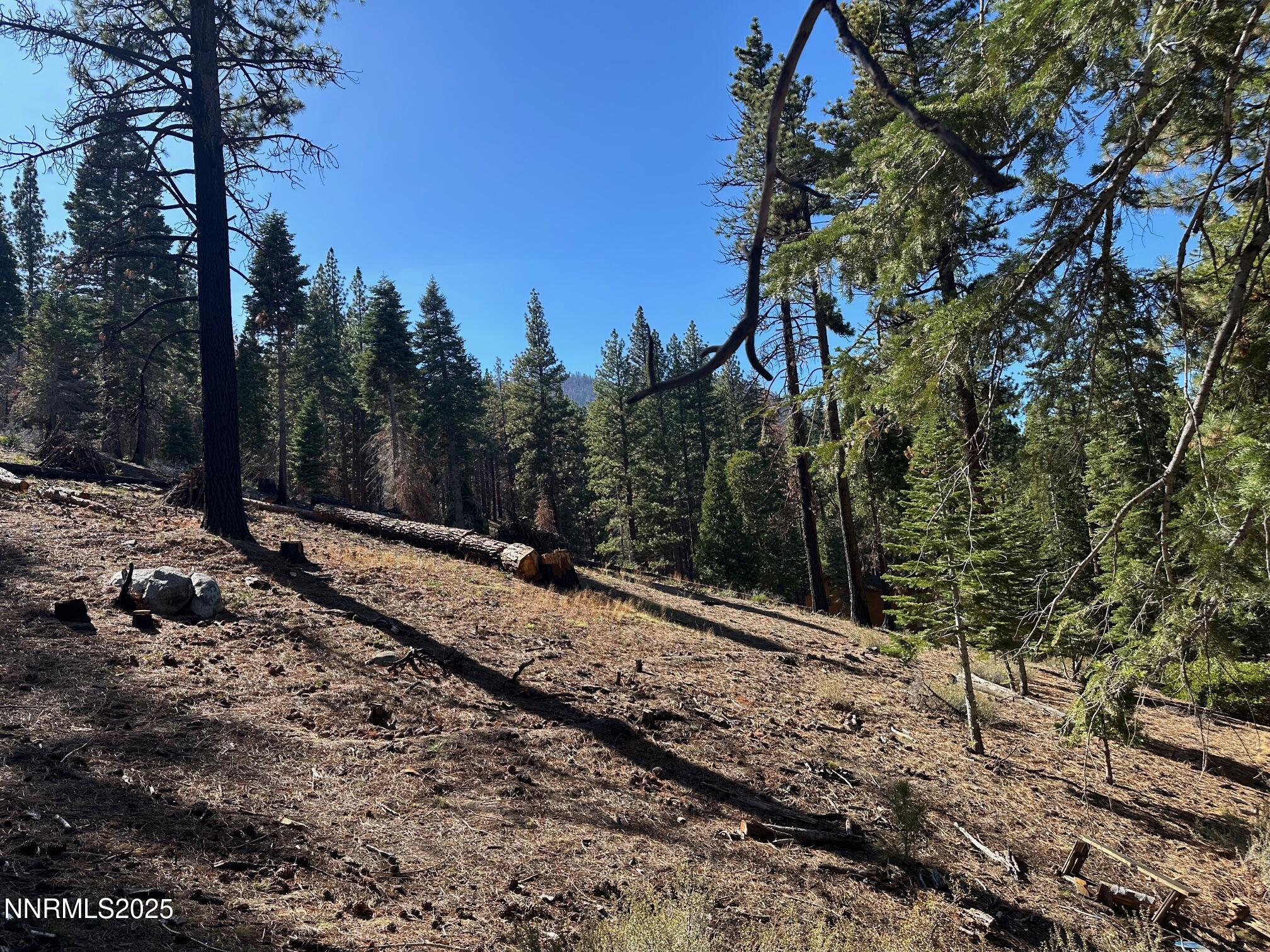 201 Shay Creek Road Markleeville, CA 96120 - Photo 12 of 35 a view of a backyard of the house