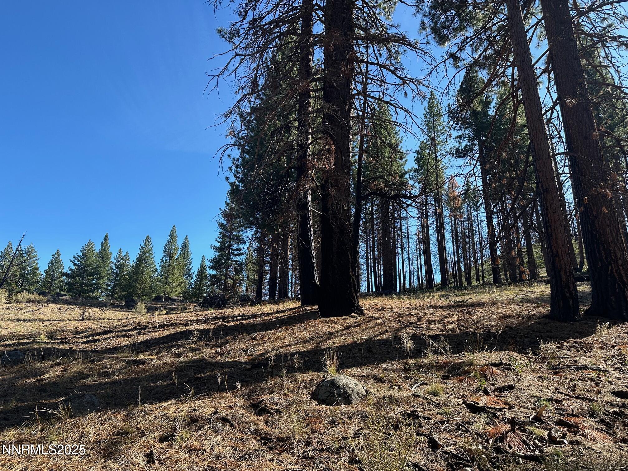 201 Shay Creek Road Markleeville, CA 96120 - Photo 29 of 35 a view of a yard with wooden fence