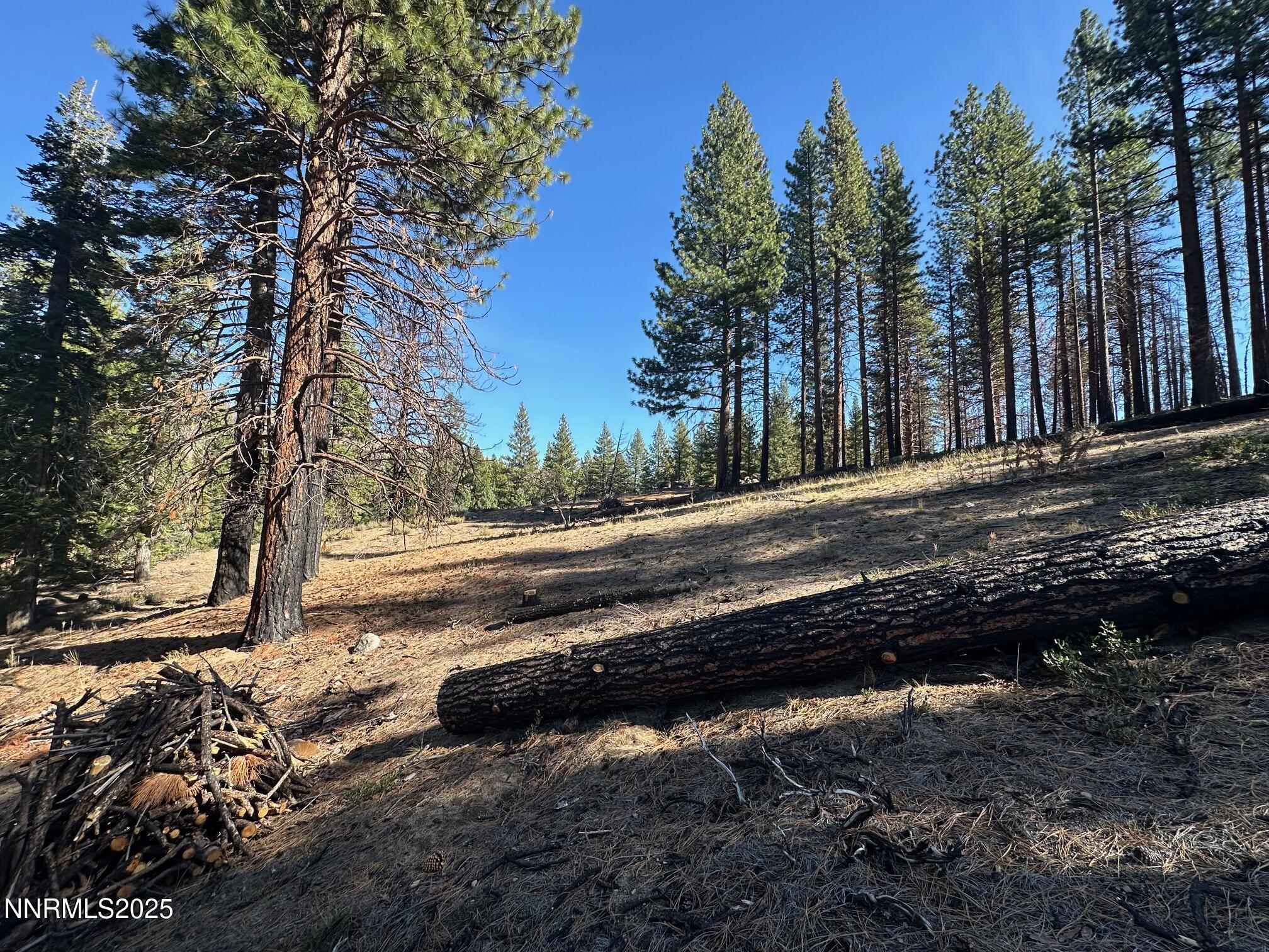 201 Shay Creek Road Markleeville, CA 96120 - Photo 30 of 35 a view of street with wooden fence