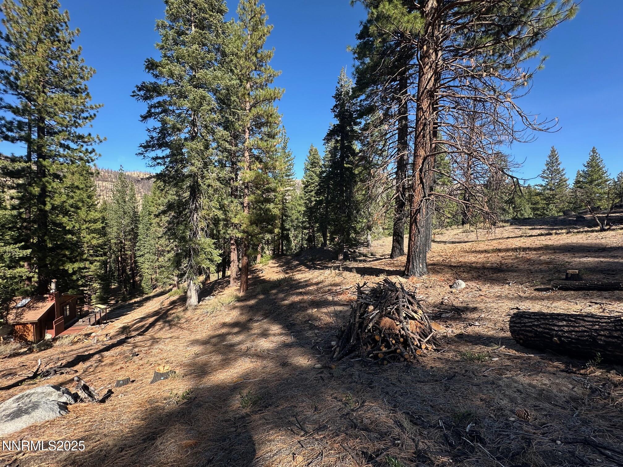 201 Shay Creek Road Markleeville, CA 96120 - Photo 31 of 35 a view of a yard with trees