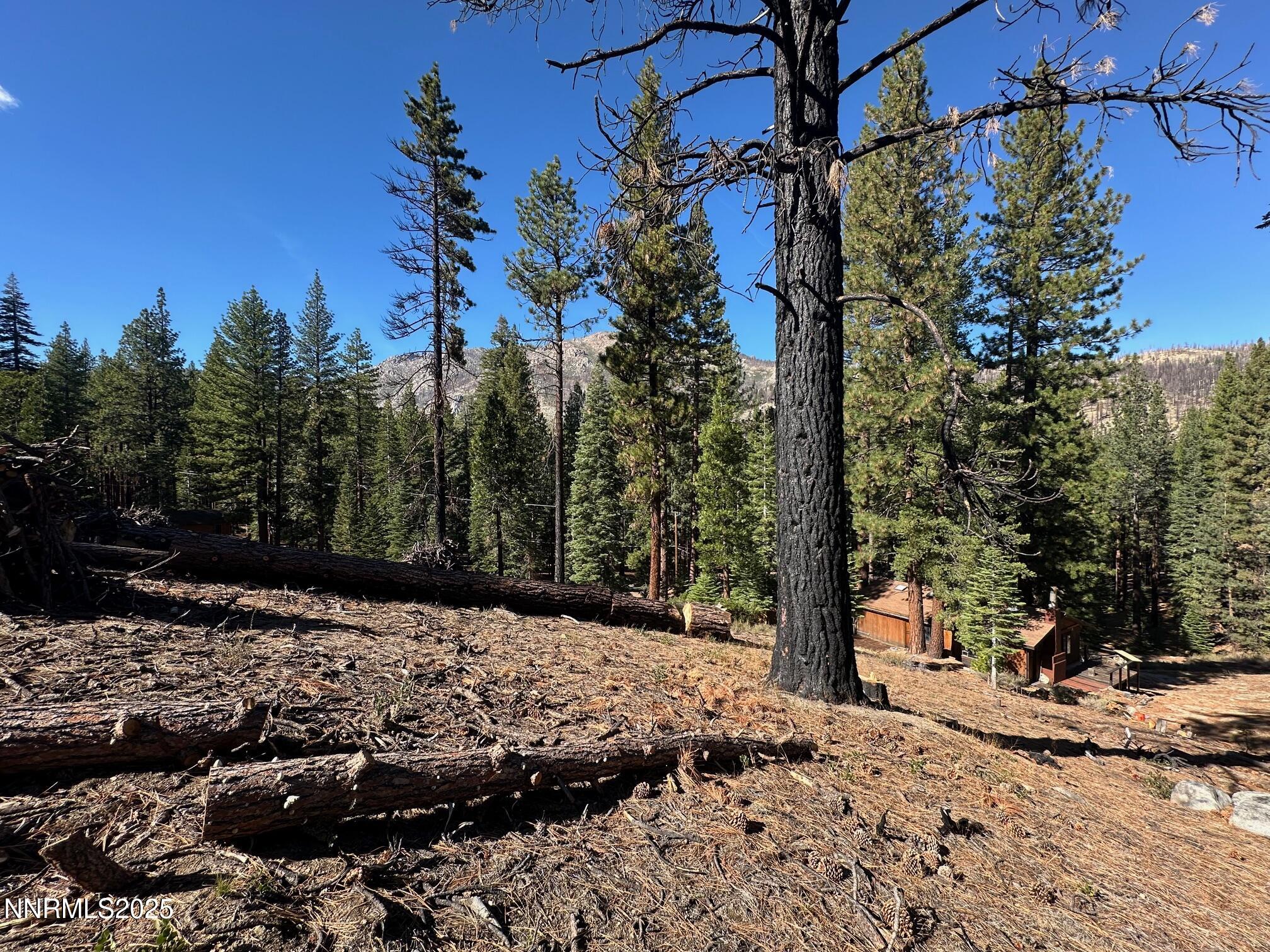 201 Shay Creek Road Markleeville, CA 96120 - Photo 32 of 35 a view of a yard covered with snow