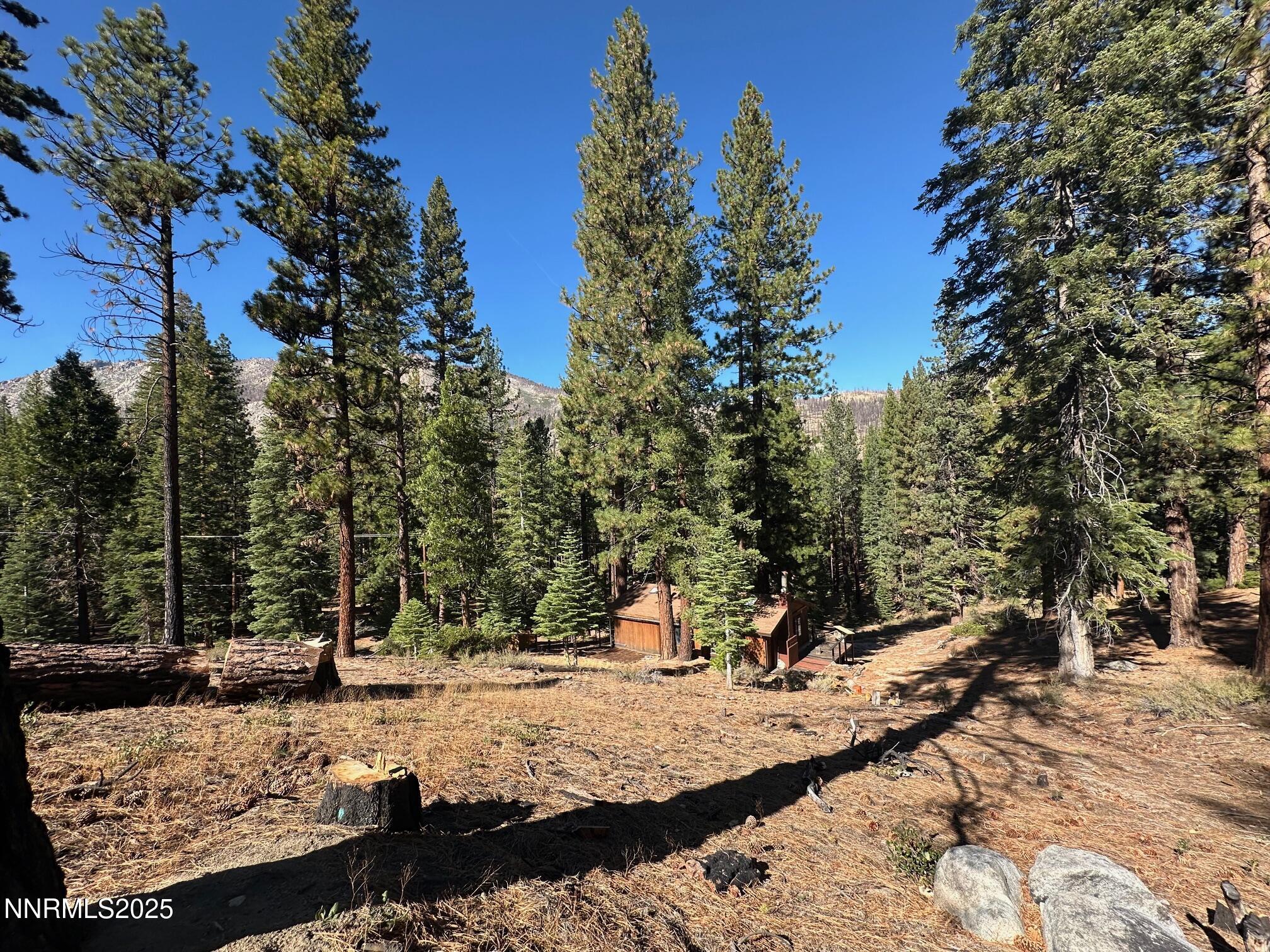201 Shay Creek Road Markleeville, CA 96120 - Photo 33 of 35 a view of a park with large trees