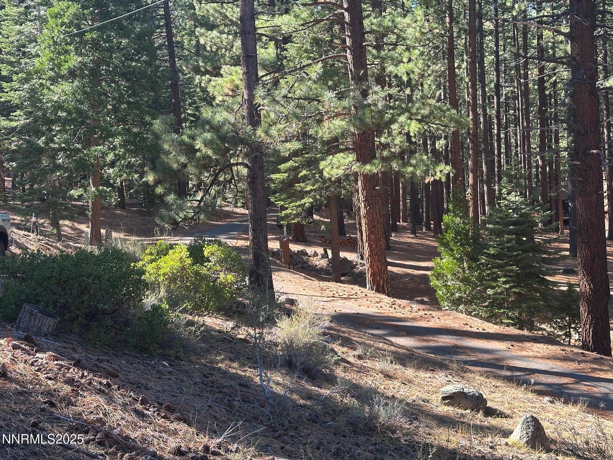 201 Shay Creek Road Markleeville, CA 96120 - Photo 34 of 35 a view of a yard with plants and trees