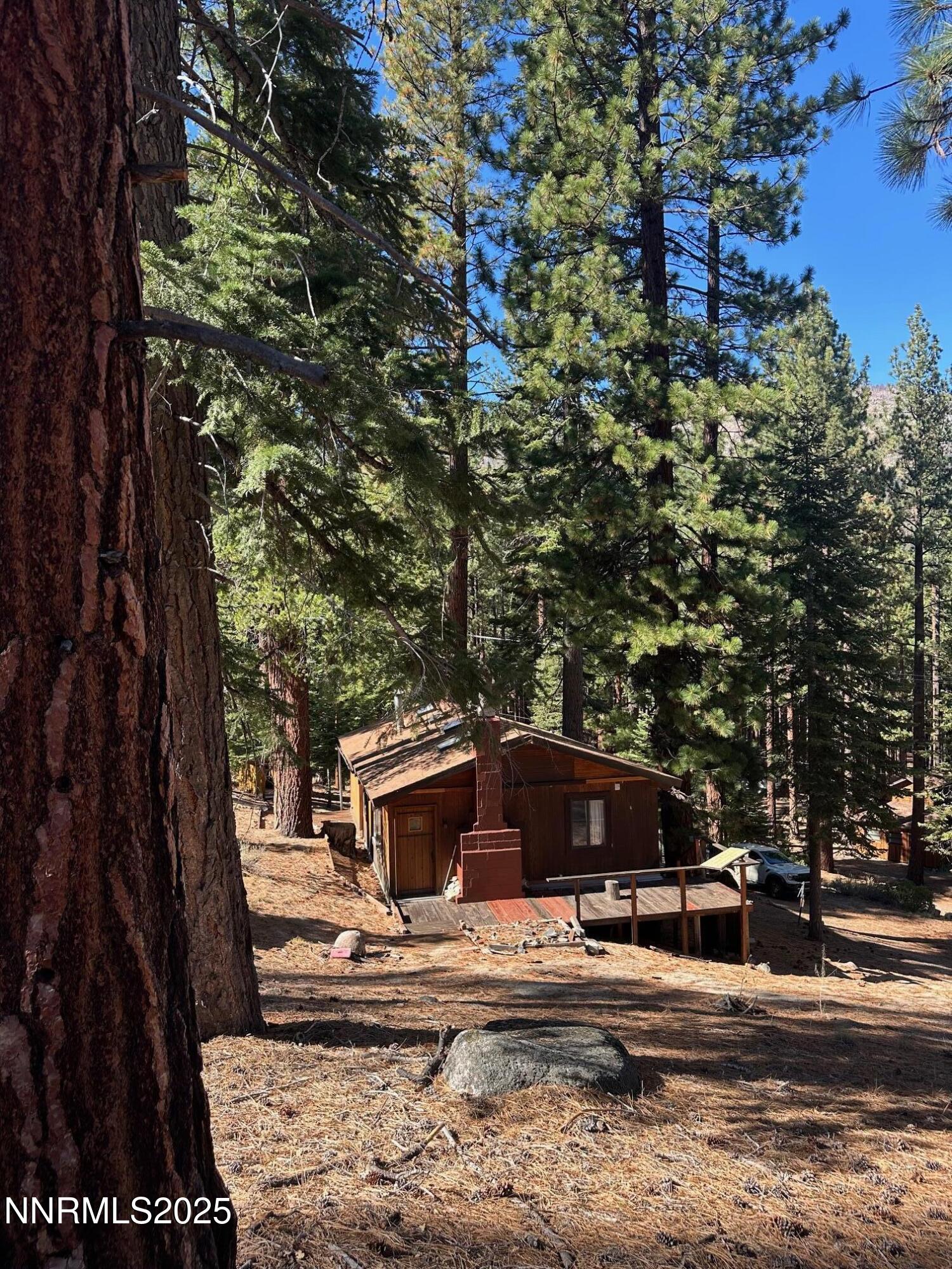 201 Shay Creek Road Markleeville, CA 96120 - Photo 35 of 35 a view of a yard with car parked