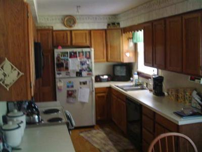 7401 Robertson Road Middleville, MI 49333 - Photo 3 of 5 Additional Photo