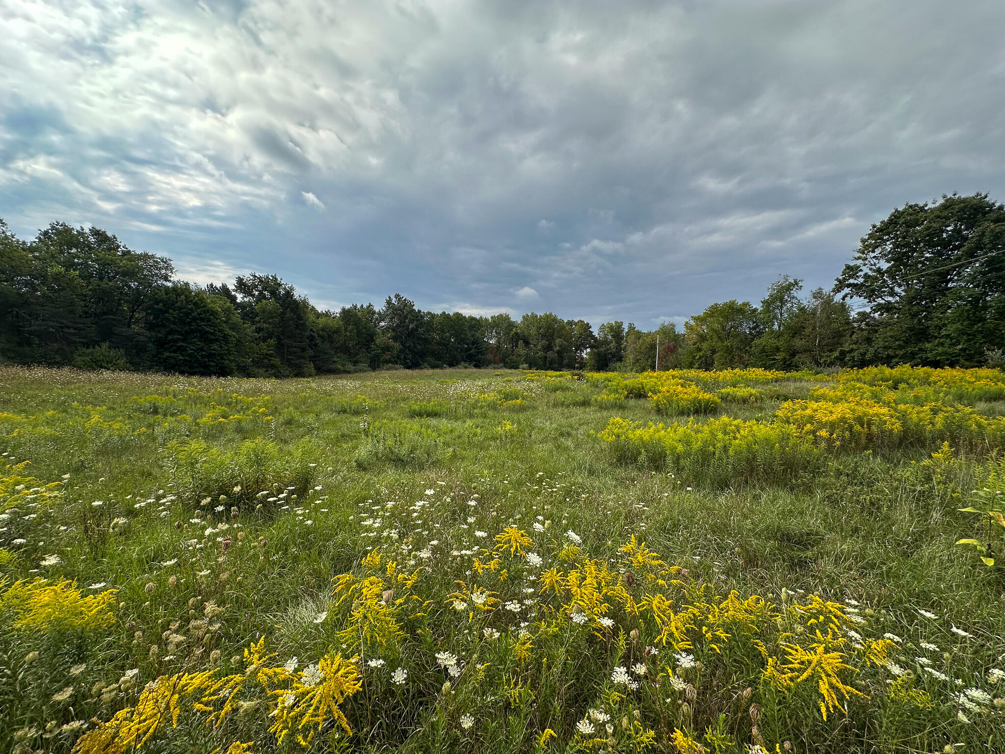 36 North V/l N Ferris Road Six Lakes, MI 48886 - Photo 11 of 32 Front Field 2