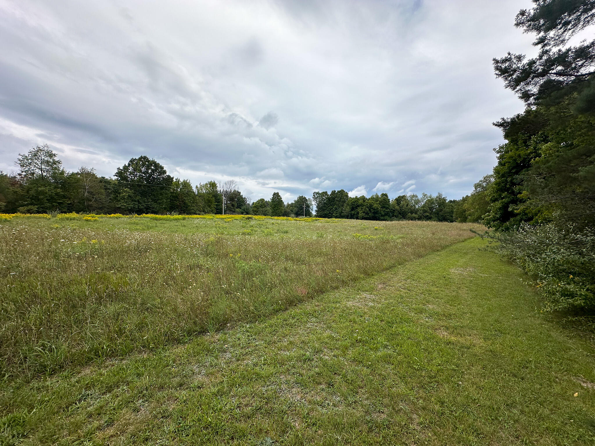 36 North V/l N Ferris Road Six Lakes, MI 48886 - Photo 12 of 32 Front Field 3