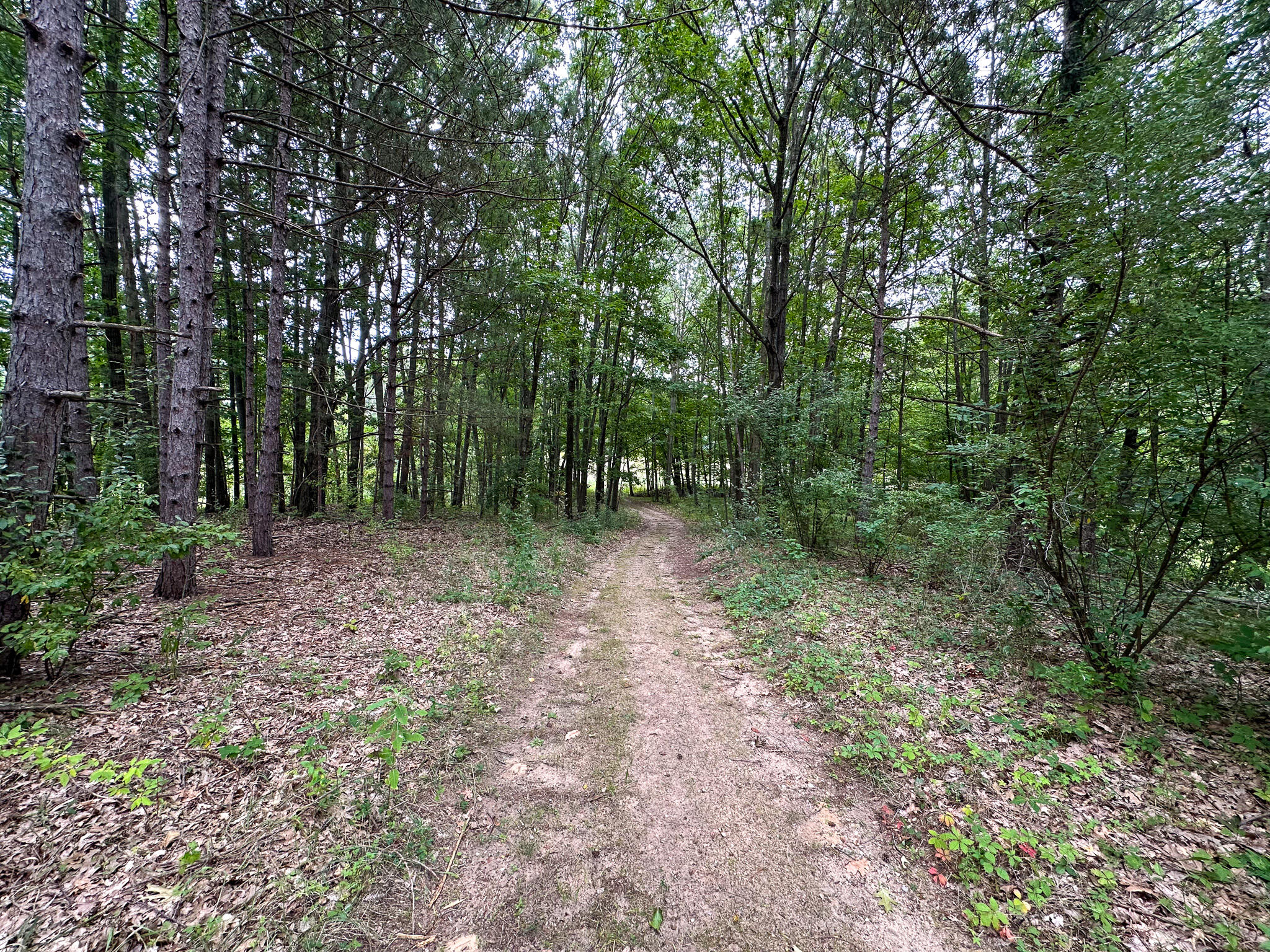 36 North V/l N Ferris Road Six Lakes, MI 48886 - Photo 16 of 32 Pine Trail 2