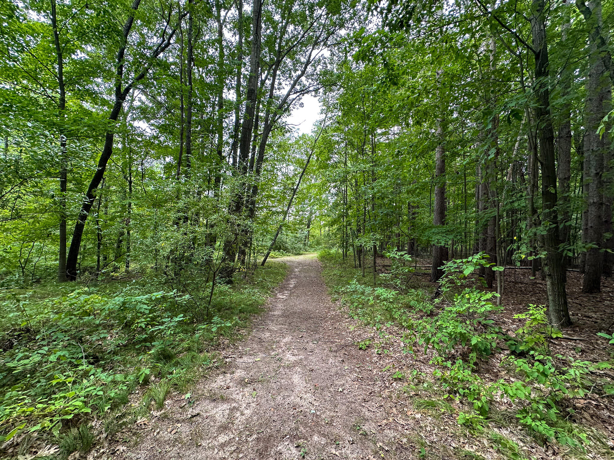 36 North V/l N Ferris Road Six Lakes, MI 48886 - Photo 19 of 32 Woods Trail 3