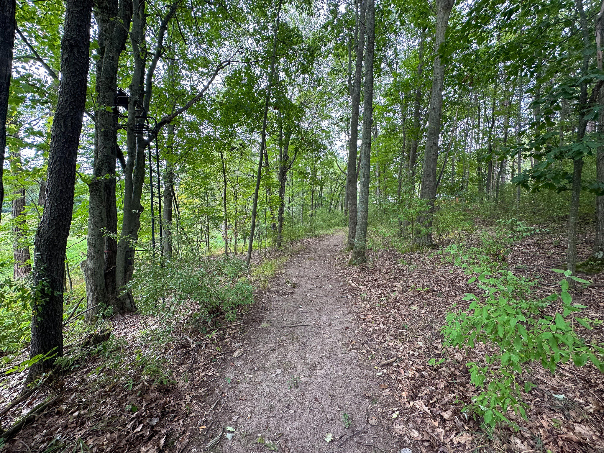 36 North V/l N Ferris Road Six Lakes, MI 48886 - Photo 20 of 32 Trestand 2