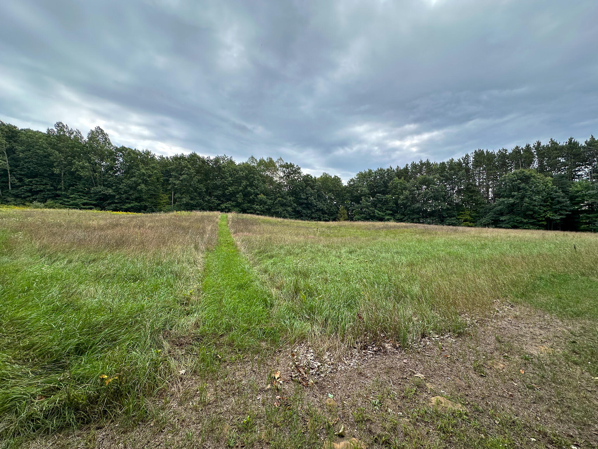 36 North V/l N Ferris Road Six Lakes, MI 48886 - Photo 21 of 32 Back Field 2