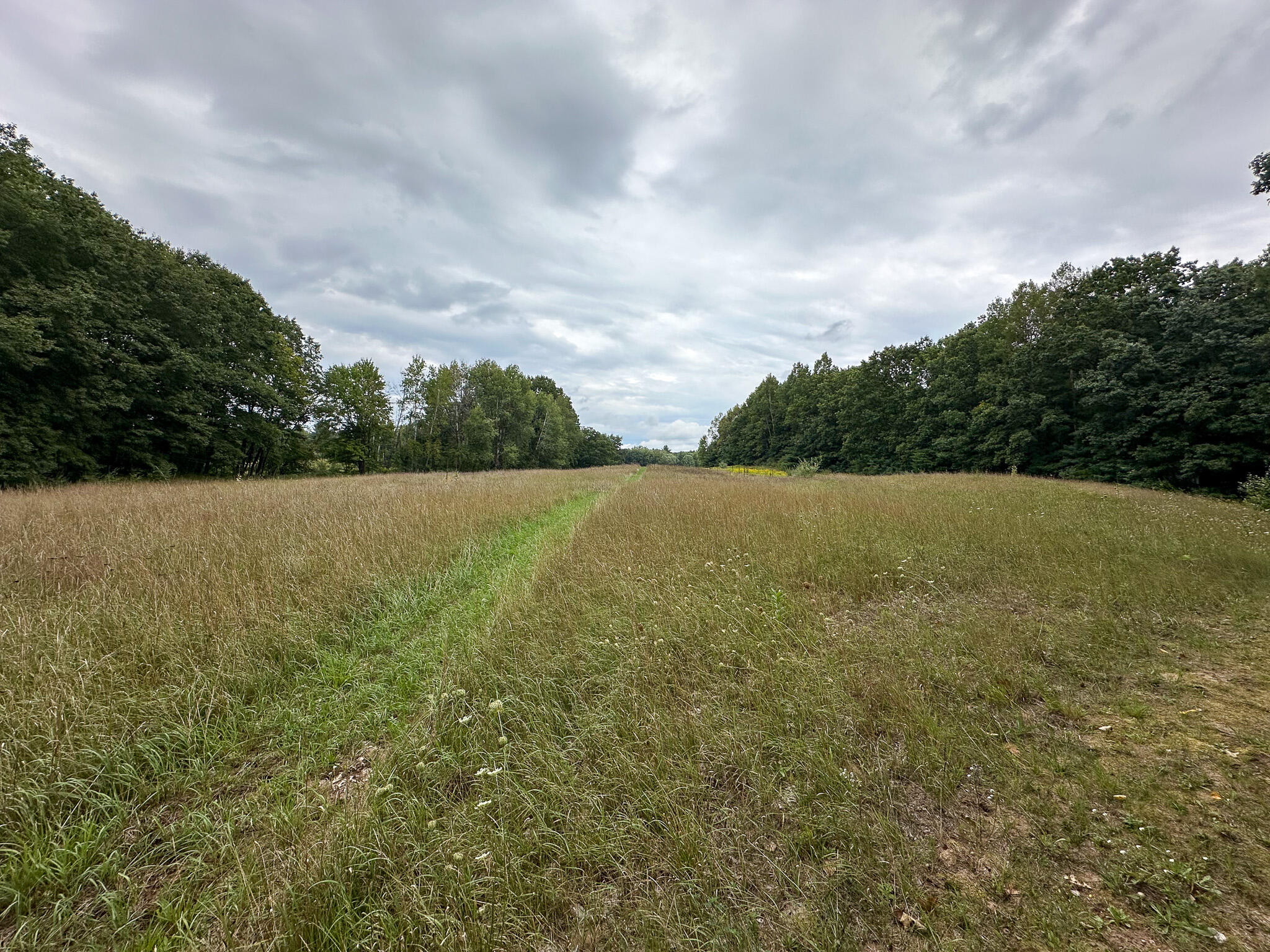 36 North V/l N Ferris Road Six Lakes, MI 48886 - Photo 22 of 32 Back Field