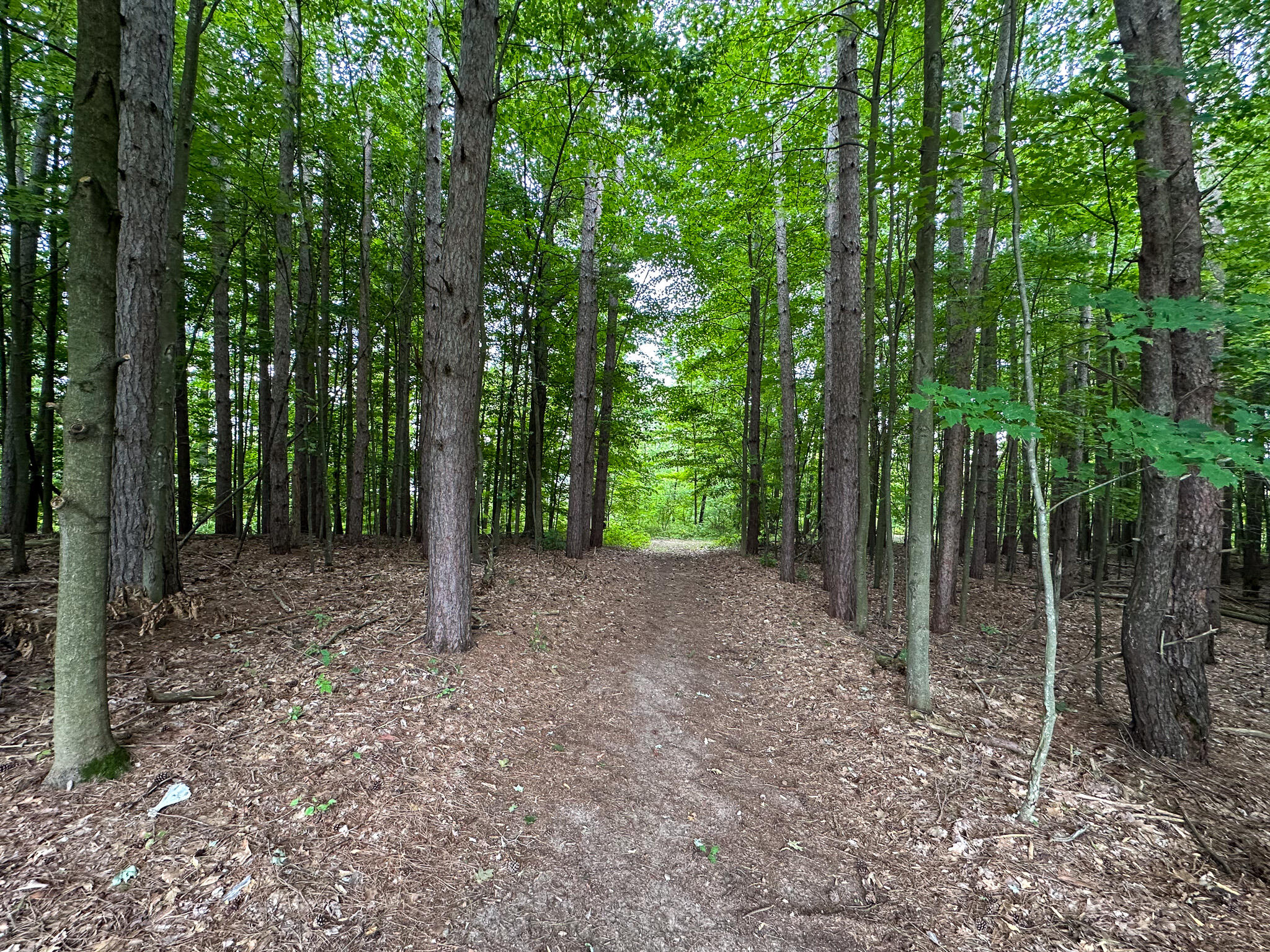36 North V/l N Ferris Road Six Lakes, MI 48886 - Photo 23 of 32 Pine Trail 3