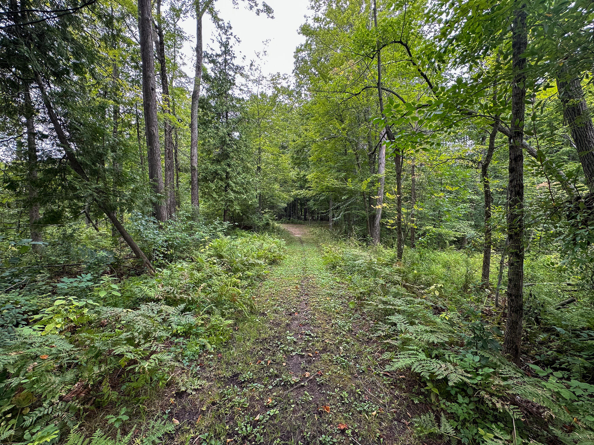 36 North V/l N Ferris Road Six Lakes, MI 48886 - Photo 25 of 32 Waterfront Trail