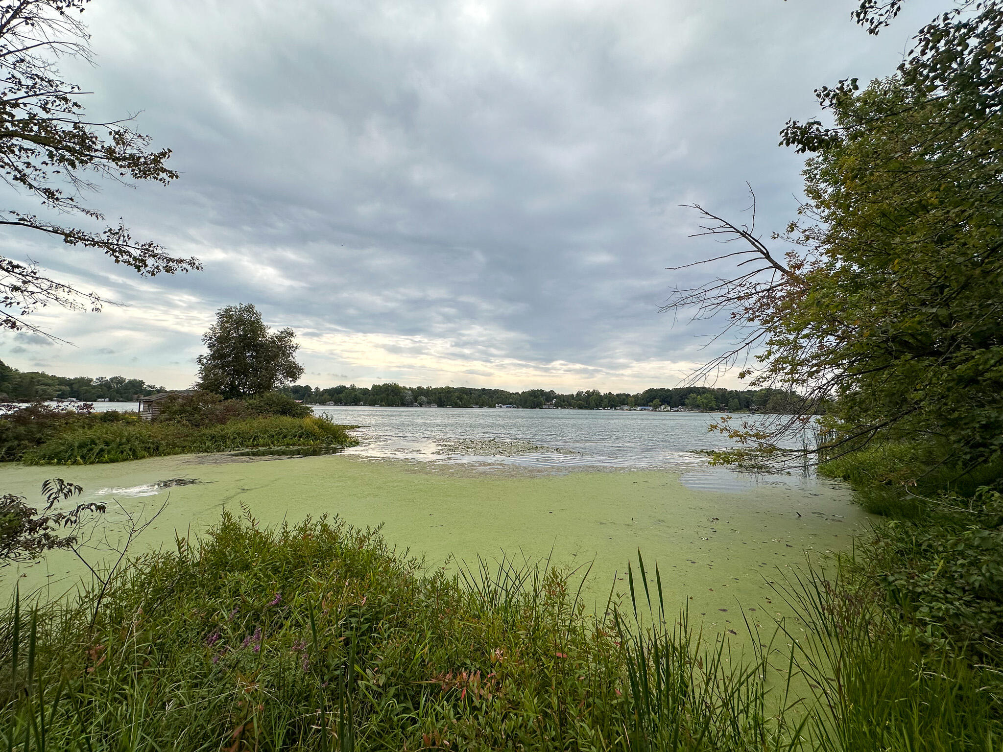 36 North V/l N Ferris Road Six Lakes, MI 48886 - Photo 28 of 32 Waterfront 2