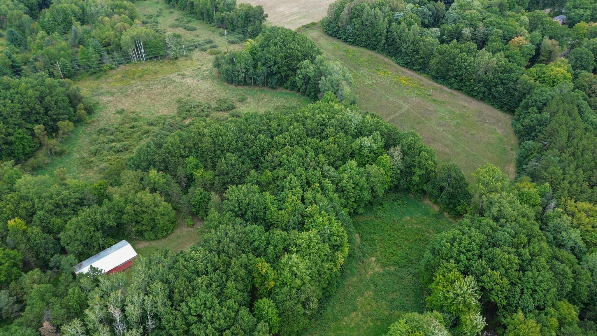36 North V/l N Ferris Road Six Lakes, MI 48886 - Photo 6 of 32 NE Corner Close