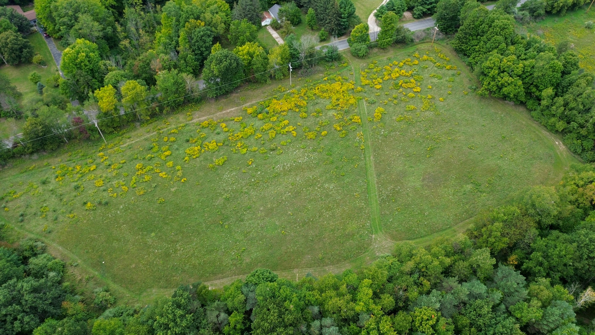 36 North V/l N Ferris Road Six Lakes, MI 48886 - Photo 8 of 32 Front Field