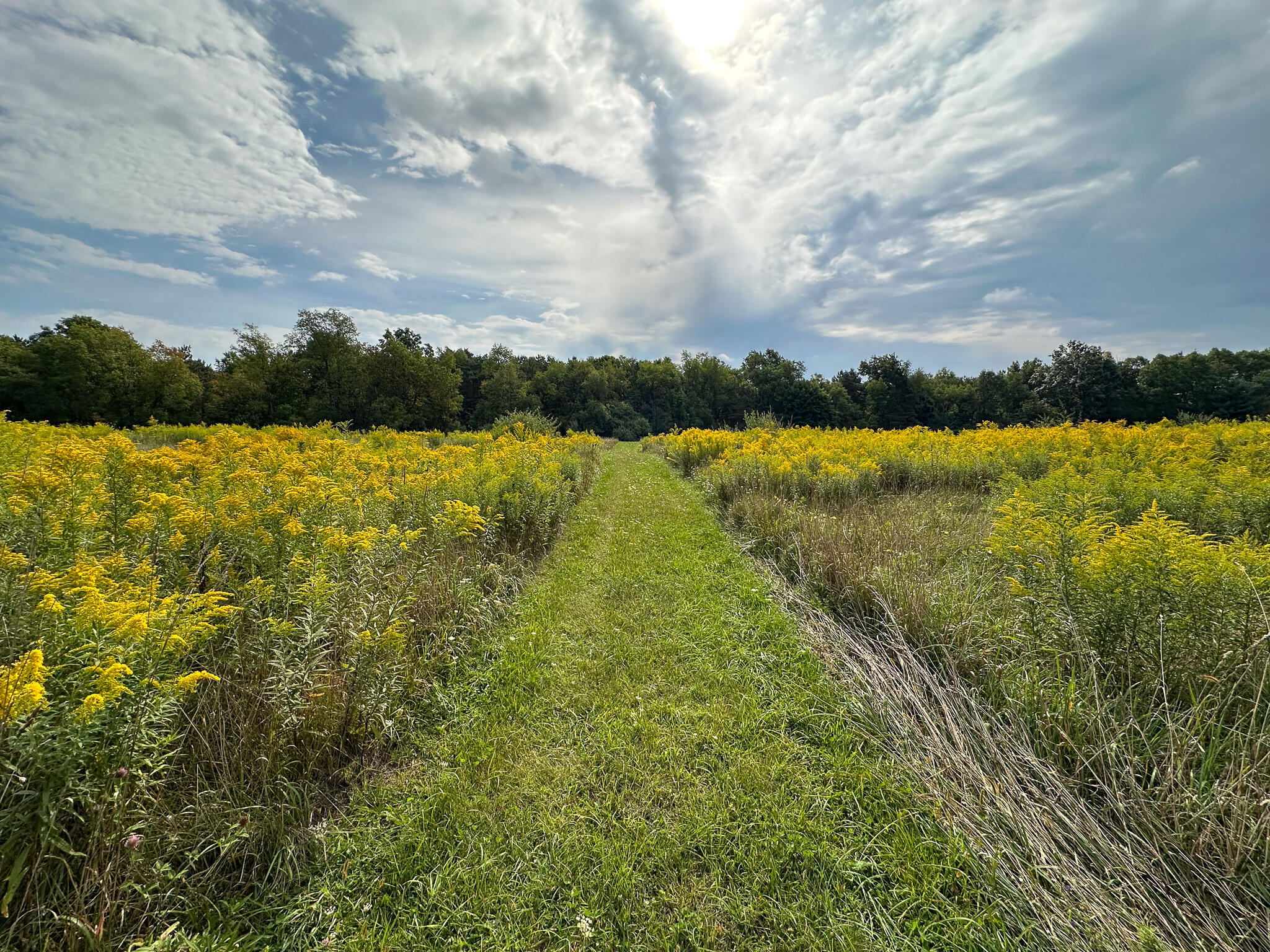 36 North V/l N Ferris Road Six Lakes, MI 48886 - Photo 9 of 32 Front Field Trail
