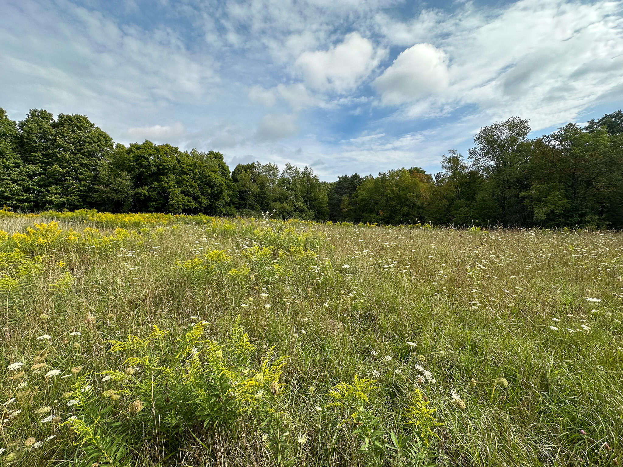 36 North V/l N Ferris Road Six Lakes, MI 48886 - Photo 10 of 32 Front Field 1