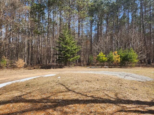 10229 North Coe Road Luther, MI 49656 - Photo 8 of 13 20230324_134317