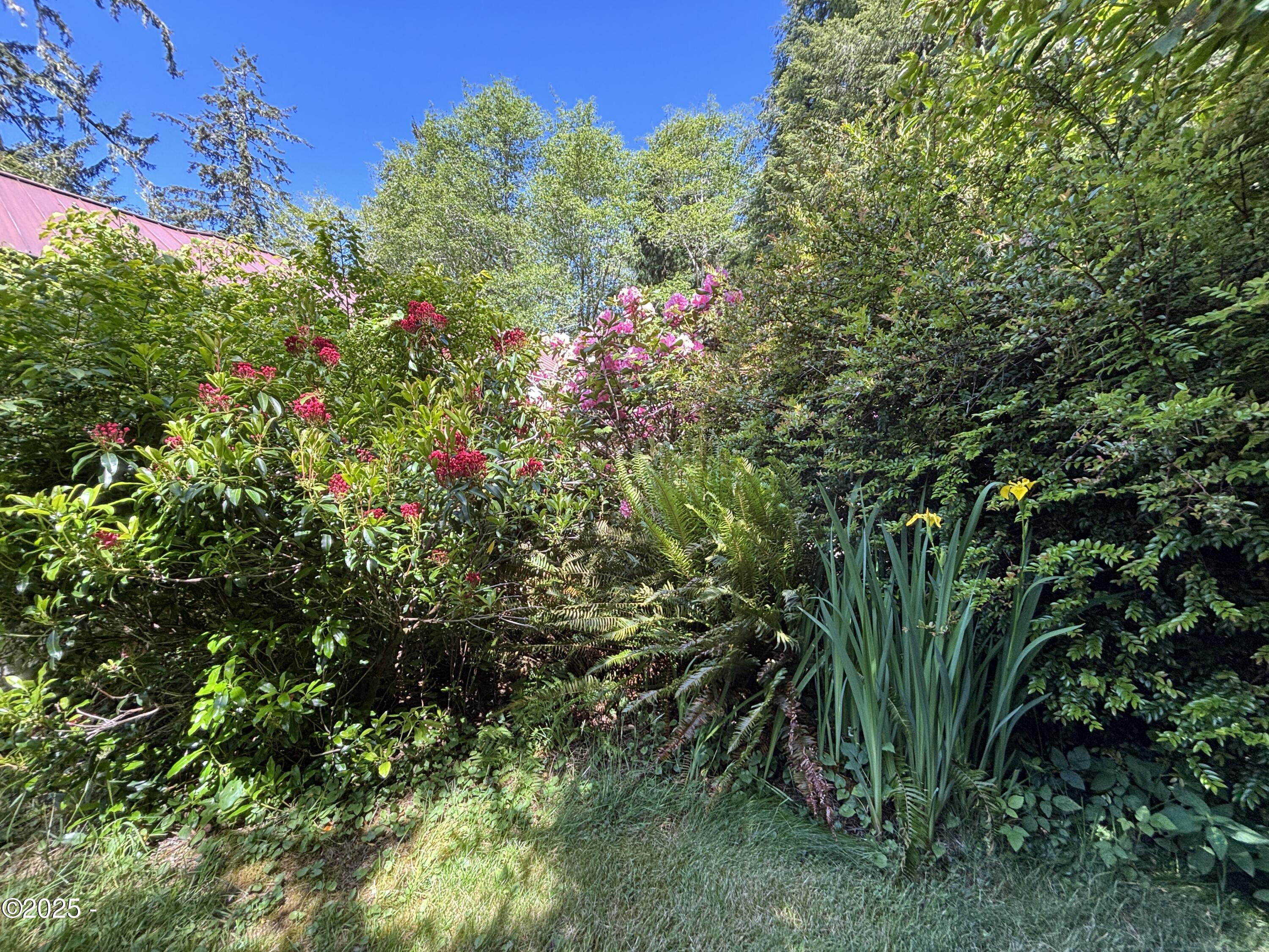 1389 Old River Road Northeast Siletz, OR 97380 - Photo 40 of 60