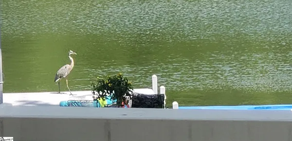 $270,000 | 786 Isle Of Pines Circle, Waterloo, SC 29384