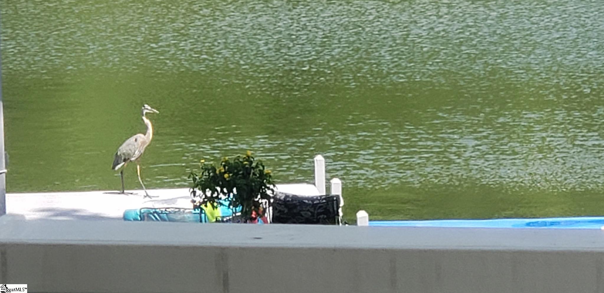 786 Isle Of Pines Circle Waterloo, SC 29384 - Photo 36 of 40