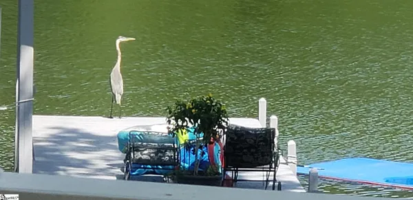 $270,000 | 786 Isle Of Pines Circle, Waterloo, SC 29384