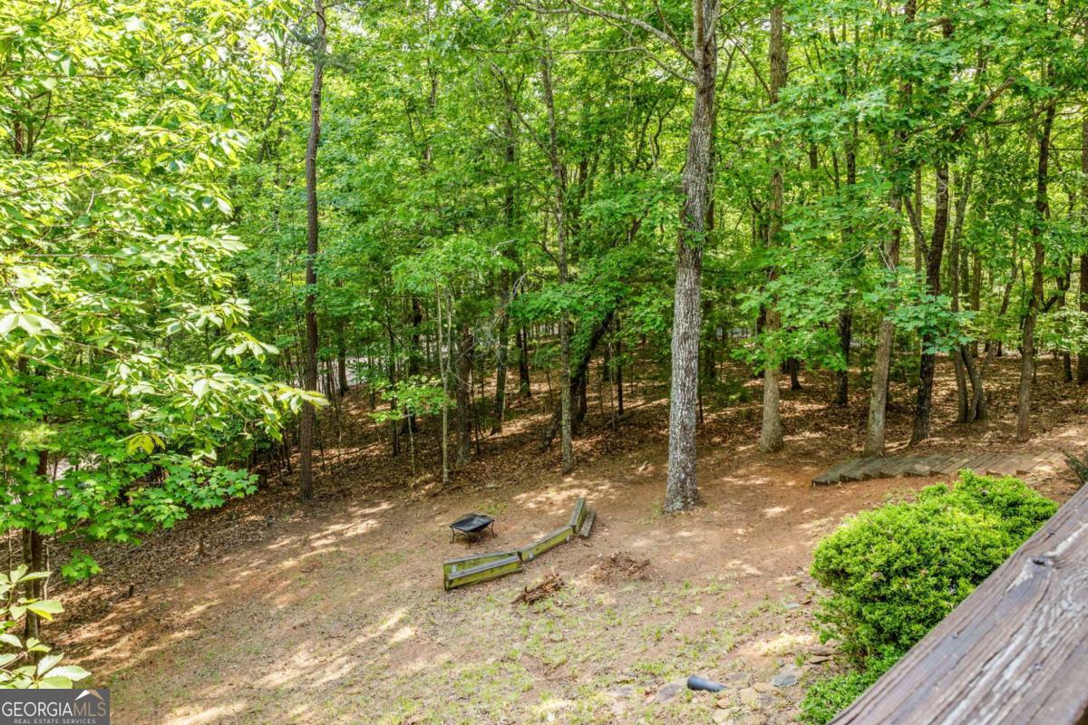 220 Blue Ridge Trail, Unit 217 Morganton, GA 30560 - Photo 25 of 55