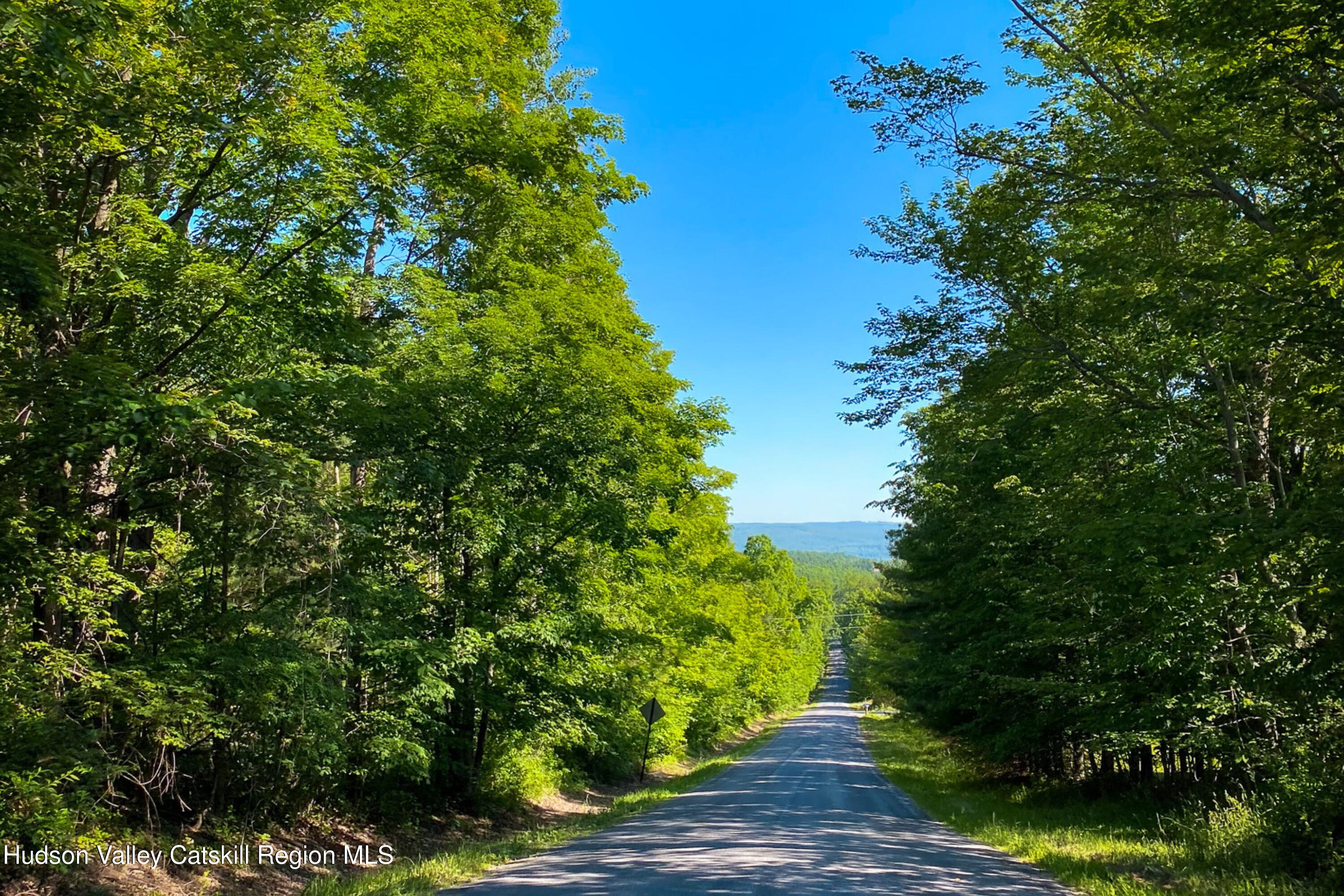 Tbd Strong Road Cornwallville, NY 12418 - Photo 15 of 30 10