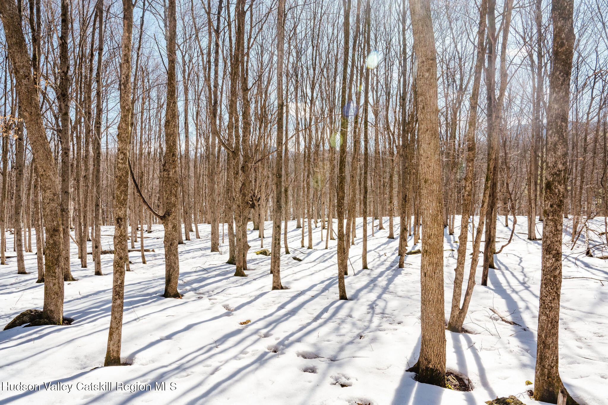 Tbd Strong Road Cornwallville, NY 12418 - Photo 17 of 30 2025-02-FRESHAIR-Cornwallville-Preston-8